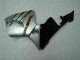 ABS Moto Plástico CBR 600 RR 05-06 - Plata