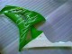 Carenado Moto CBR 1000 RR 06-07 - Verde Carenado Moto CBR 1000 RR 06-07 - Verde