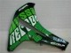 Carenado Moto CBR 1000 RR 08-11 - Verde