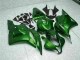 Carenado Moto CBR 600 RR 09-12 - Verde