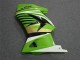 Carenado Moto EX250 08-12 - Verde Blanco Negro Ninja