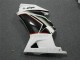 Carenados Moto EX250 08-12 - Blanco Negro Ninja