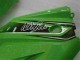 Carrocería Motocicletas EX250 08-12 - Verde Negro