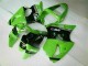 Inyección Kit Carenado Moto ZX6R 00-02 - Verde Negro Inyección Kit Carenado Moto ZX6R 00-02 - Verde Negro