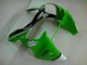 Inyección Kits Carenado Moto ZX6R 00-02 - Verde Negro Inyección Kits Carenado Moto ZX6R 00-02 - Verde Negro