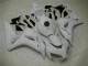 Kit Carenado ABS Completo CBR 1000 RR 04-05 - Blanco Kit Carenado ABS Completo CBR 1000 RR 04-05 - Blanco