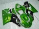 Kit Carenado Moto R1 00-01 - Verde